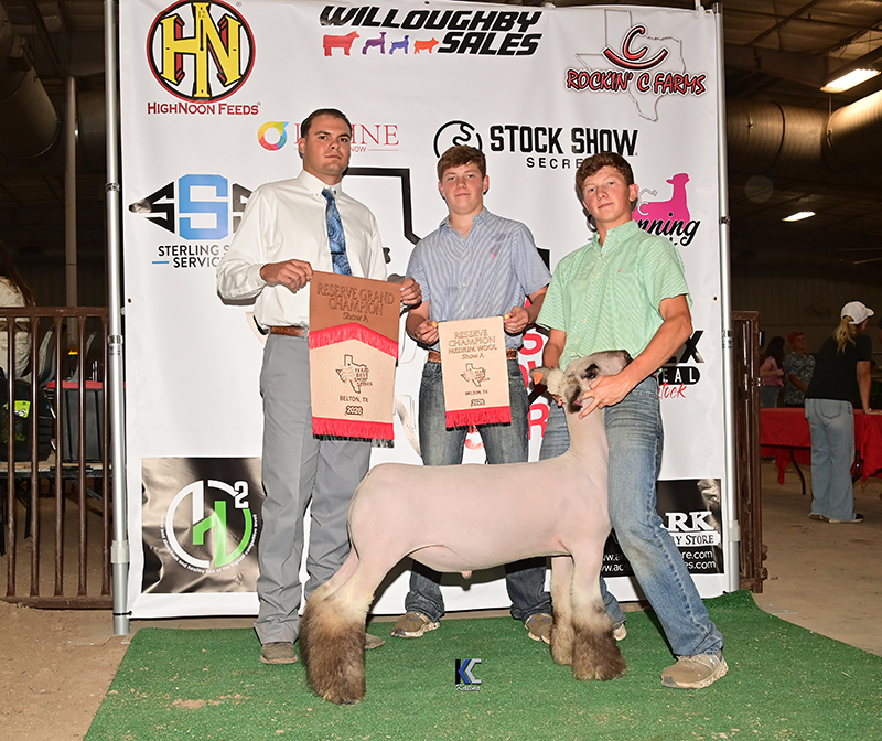 Reserve Grand, Texas Best Show Belton, Ring A Reserve Grand, Texas Best Show Belton, Ring A