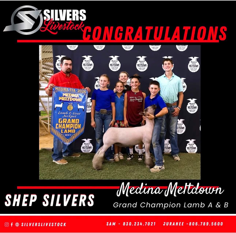 Grand Champion Market Lamb, Medina Meltdown -Show A & B Grand Champion Market Lamb, Medina Meltdown -Show A & B