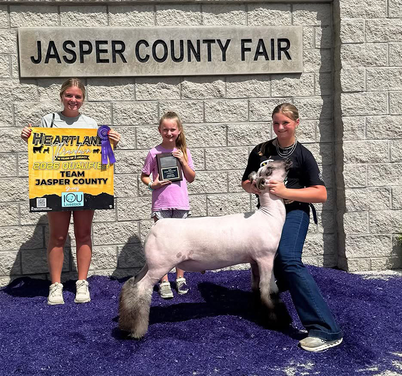 Grand Champion Market Lamb, Jasper County Fair Grand Champion Market Lamb, Jasper County Fair
