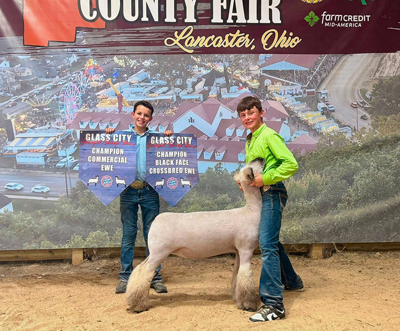 Champion WFX Ewe Champion Int. Showman, Glass City Jackpot Champion WFX Ewe<br />
Champion Int. Showman, Glass City Jackpot